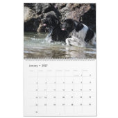 Wasserhunde aus Nottobar Kalender (Jan 2027)