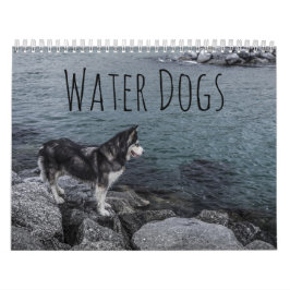 Wasserhunde Kalender