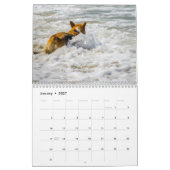 Wasserhunde Kalender (Jan 2027)