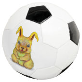 Wasserkaninchen Fußball (Dreiviertel)