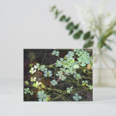 Wasserklee Postkarte (Stehend Vorderseite)