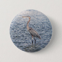 Wasserknopf Blaue Herde Button