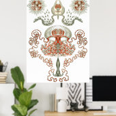 Wasserkunst ~ Quallen Poster (Heimbüro)