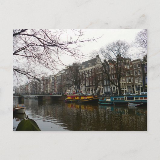 Wasserläufer Postkarte (Vorderseite)