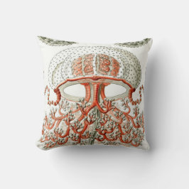 Wasserleben ~ Haeckel Quallen-nahe hohe Kissen