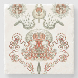 Wasserleben ~ Haeckel ~ Quallen Steinuntersetzer