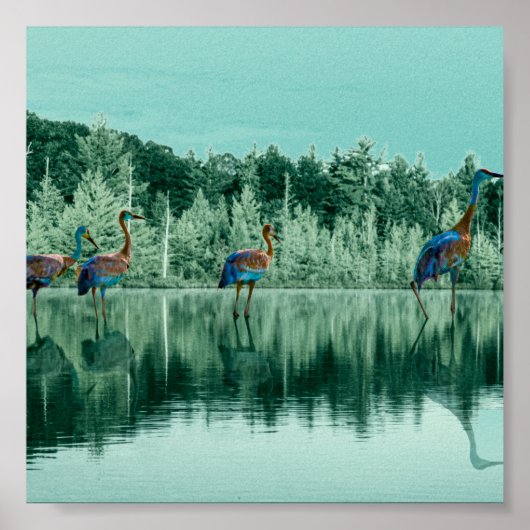 Wasserliegeplakat Poster (Vorne)