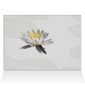 Wasserlilie (Innenansicht Horizontal (Oben))