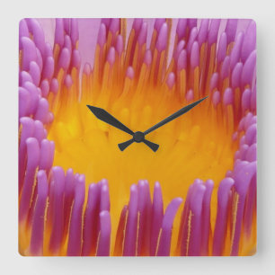 Wasserlilie 1 Wanduhren und zahlreiche Optionen