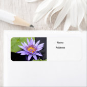 Wasserlilie 2 (Insitu)