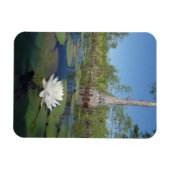Wasserlilie 2 magnet (Horizontal)