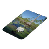 Wasserlilie 2 magnet (Linke Seite)