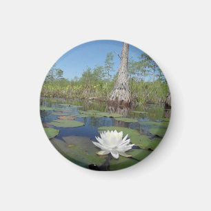 Wasserlilie 2 magnet