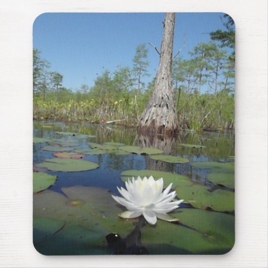 Wasserlilie 2 mousepad (Vorne)