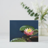 Wasserlilie 2 postkarte (Stehend Vorderseite)