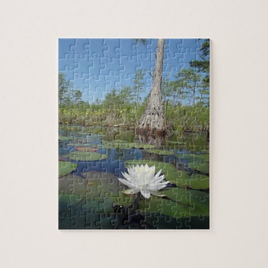Wasserlilie 2 puzzle (Vertikal)