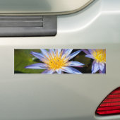 Wasserlilie Autoaufkleber (Auf Auto)