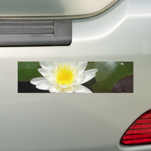 Wasserlilie Autoaufkleber (Auf Auto)