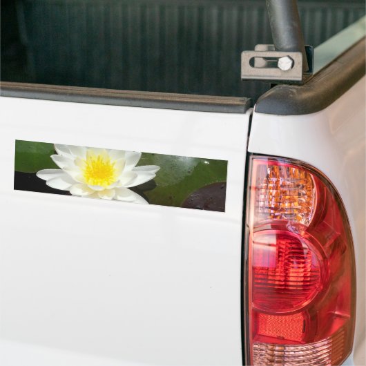 Wasserlilie Autoaufkleber (Auf Lkw)