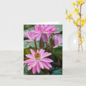 Wasserlilie Beauty Karte (Gelbe Blume)