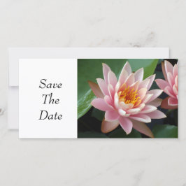 Wasserlilie Beauty Save The Date