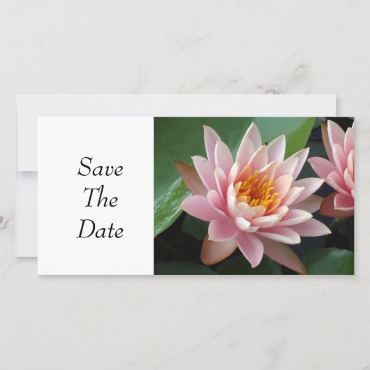 Wasserlilie Beauty Save The Date (Vorderseite)