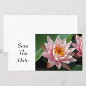 Wasserlilie Beauty Save The Date (Vorne/Hinten)