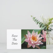 Wasserlilie Beauty Save The Date (Stehend Vorderseite)