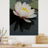 Wasserlilie Blume Poster (Küche)