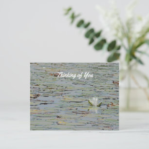 Wasserlilie Blume See Postkarte