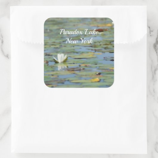 Wasserlilie Blume Wasserfarbenaufkleber Quadratischer Aufkleber (Tasche)