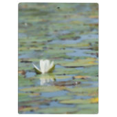 Wasserlilie Blume Wasserfarbene Zwischenablage Klemmbrett (Rückseite)