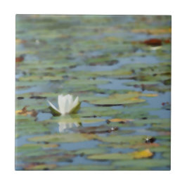 Wasserlilie Blume Watercolor Keramik Tile Fliese