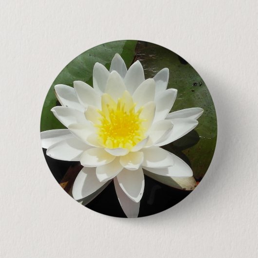Wasserlilie Button (Vorderseite)