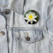 Wasserlilie Button (Beispiel)