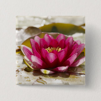 Wasserlilie Button