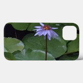 Wasserlilie Case-Mate iPhone Hülle (Rückseite (Horizontal))