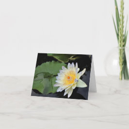 Wasserlilie Dankeskarte