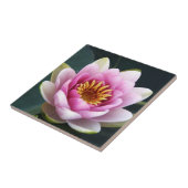 Wasserlilie Fliese (Seite)