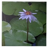 Wasserlilie Fliese (Vorderseite)