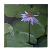 Wasserlilie Fliese (Vorderseite)