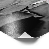 Wasserlilie Foto Pflanze Poster (Ecke)