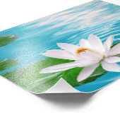 Wasserlilie Fotografie (Ecke)