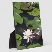 Wasserlilie Fotoplatte (Seite)