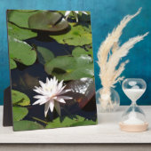 Wasserlilie Fotoplatte (Seite)