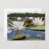 Wasserlilie Fragrande (Nymphaea Odorata) auf Caddo Postkarte (Vorne/Hinten)