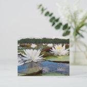 Wasserlilie Fragrande (Nymphaea Odorata) auf Caddo Postkarte (Stehend Vorderseite)