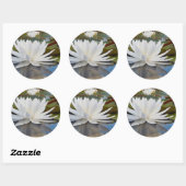 Wasserlilie Fragrande (Nymphaea Odorata) auf Caddo Runder Aufkleber (Blatt)