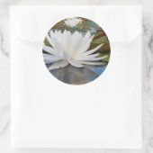 Wasserlilie Fragrande (Nymphaea Odorata) auf Caddo Runder Aufkleber (Tasche)