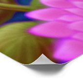Wasserlilie Garden Poster (Ecke)